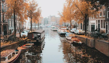 Netherlands WP uploaded